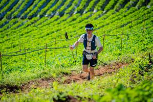 BIB: 2773, 
                            <button type="button" onclick="openModal(19161602)" class="btn btn-primary btn-sm float-right btn-popup" data-toggle="modal" data-target=".modal-high-quality">
                        <i class="fas fa-shopping-cart"></i> Add to Cart
                    </button>
                                            <button type="button" onclick="isThisMe(19161602, true)" class="btn btn-success btn-sm float-right btn-popup btn-isme hidden" data-toggle="tooltip" data-placement="bottom" title="นี่คือรูปของคุณใช่ไหม คลิกที่นี่เพื่อเอาเข้าอัลบั้ม">
                        <i class="fas fa-plus"></i> Add to album
                    </button>
                    <button type="button" onclick="isThisMe(19161602, false)" class="btn btn-warning btn-sm float-right btn-popup btn-isnotme hidden">
                        <i class="fas fa-ban"></i> Remove from album
                    </button>